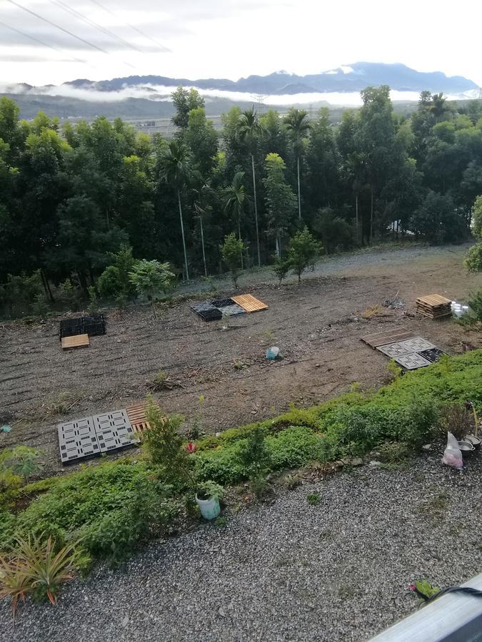 台東民宿 關山桃花心木民宿農場 관샨 외부 사진
