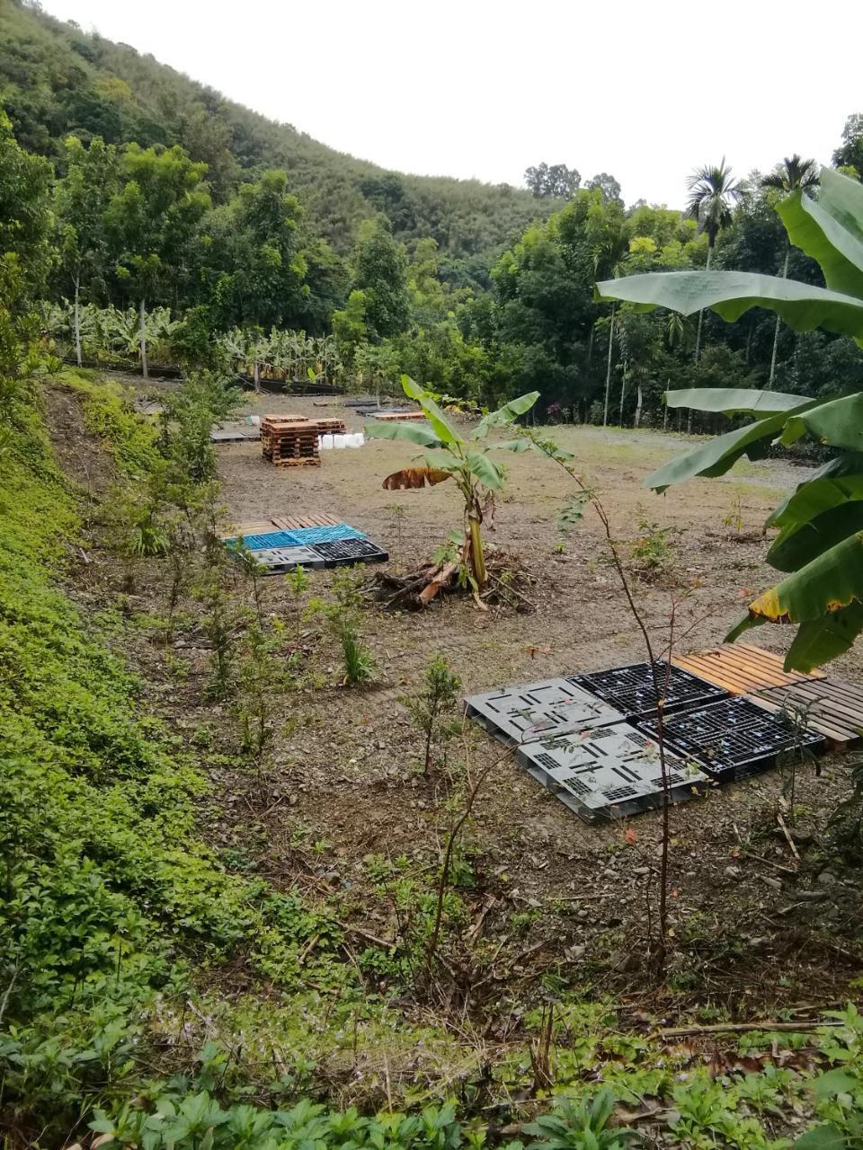 台東民宿 關山桃花心木民宿農場 관샨 외부 사진