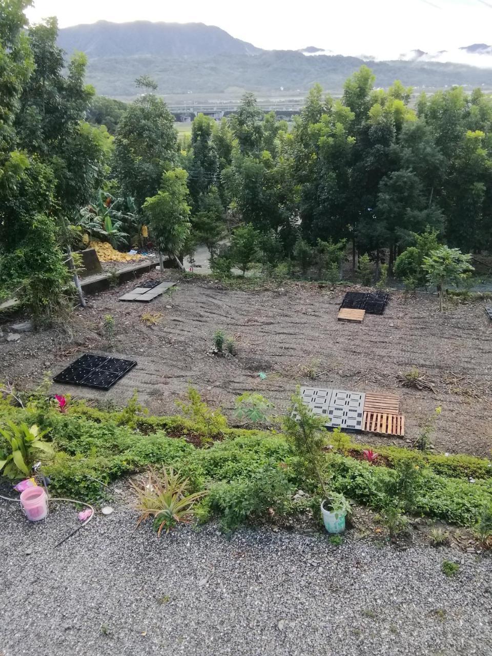 台東民宿 關山桃花心木民宿農場 관샨 외부 사진